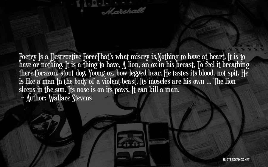 Destructive Man Quotes By Wallace Stevens