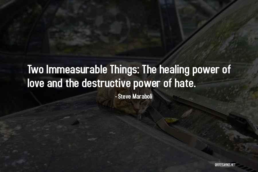 Destructive Power Of Love Quotes By Steve Maraboli