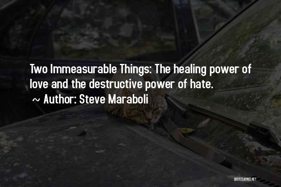 Destructive Power Quotes By Steve Maraboli