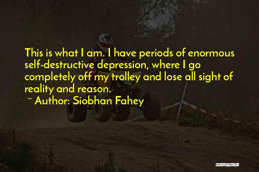 Destructive Quotes By Siobhan Fahey