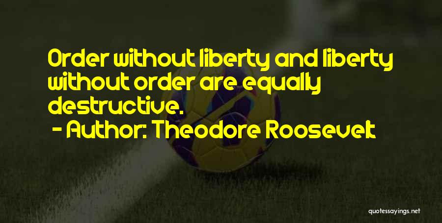 Destructive Quotes By Theodore Roosevelt