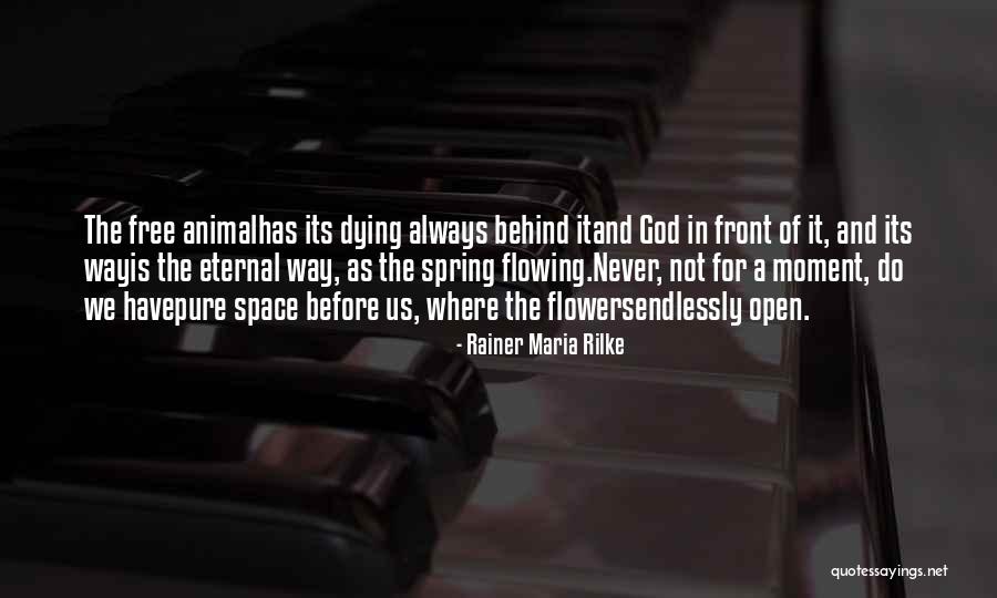 Destruicao Quotes By Rainer Maria Rilke Destruicao Quotes By Rainer Maria Rilke