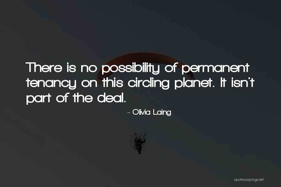 Destuffed Quotes By Olivia Laing Destuffed Quotes By Olivia Laing
