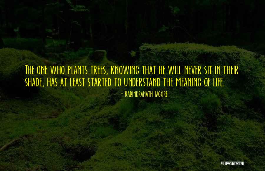 Desviadores Quotes By Rabindranath Tagore Desviadores Quotes By Rabindranath Tagore