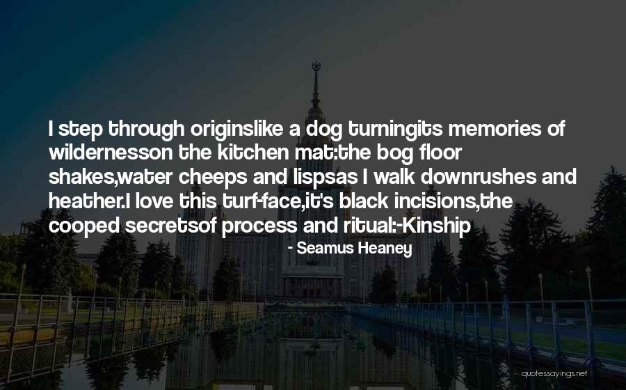 Desvoda Quotes By Seamus Heaney Desvoda Quotes By Seamus Heaney