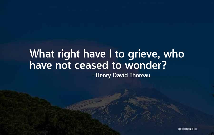 Desyllas Toys Quotes By Henry David Thoreau Desyllas Toys Quotes By Henry David Thoreau