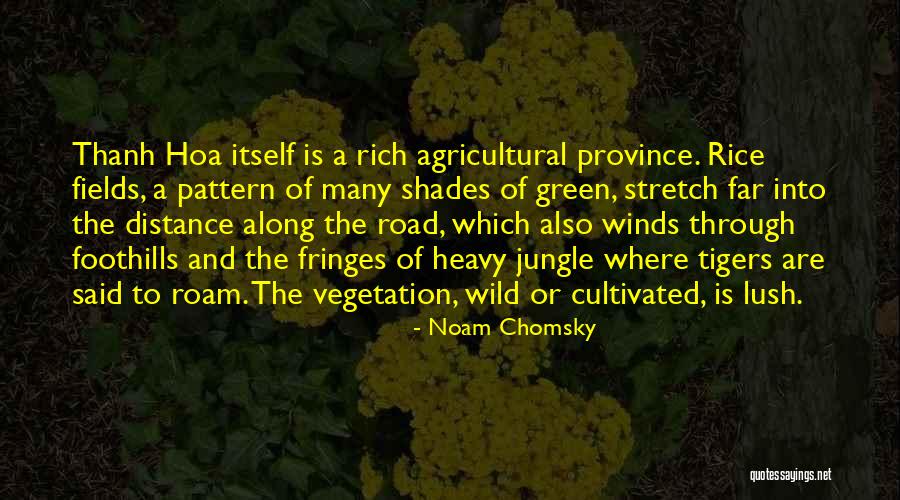 Desyrel 50 Quotes By Noam Chomsky Desyrel 50 Quotes By Noam Chomsky