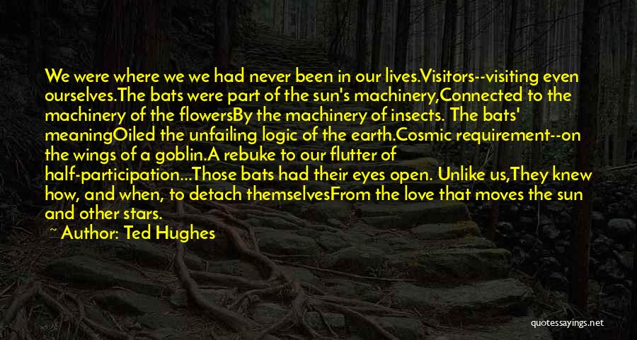 Detach Quotes By Ted Hughes