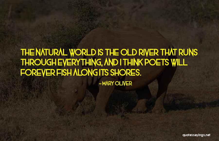 Detail The Two Color Quotes By Mary Oliver Detail The Two Color Quotes By Mary Oliver
