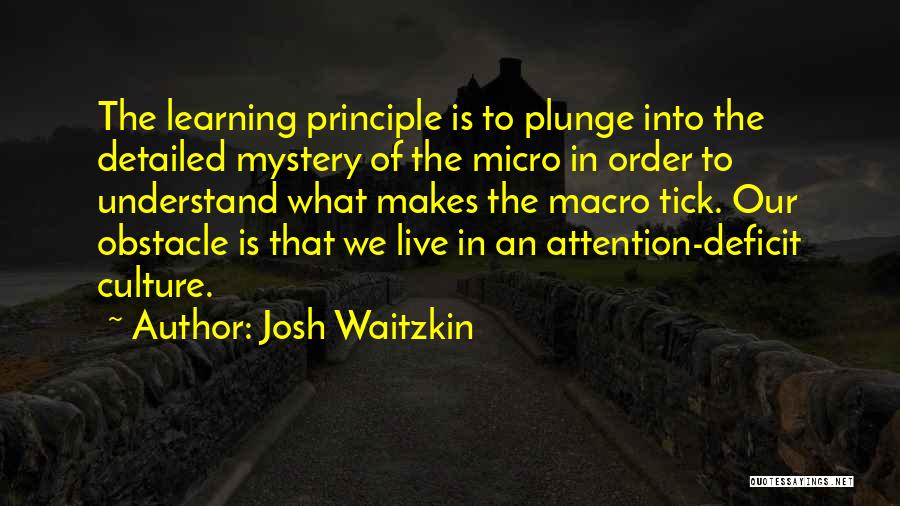 Detailed Quotes By Josh Waitzkin