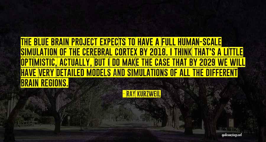 Detailed Quotes By Ray Kurzweil