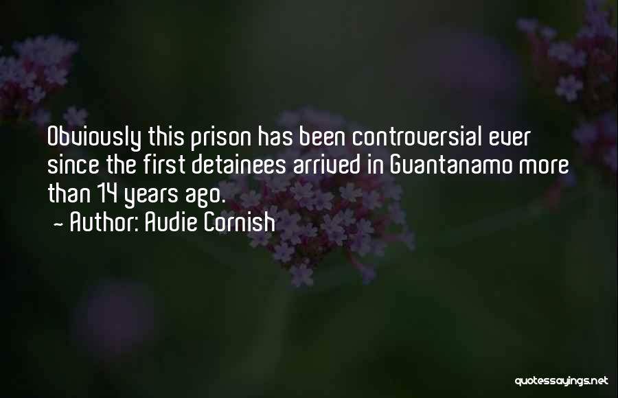 Detainees Quotes By Audie Cornish