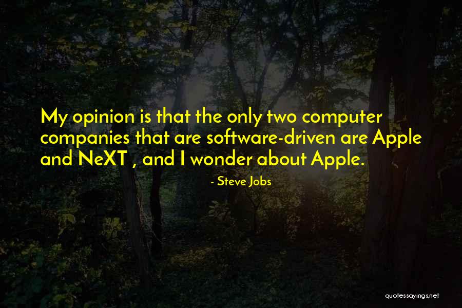 Detaliu Sarpanta Quotes By Steve Jobs Detaliu Sarpanta Quotes By Steve Jobs