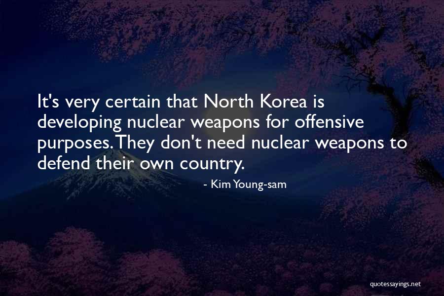 Detaliu Terasa Quotes By Kim Young-sam Detaliu Terasa Quotes By Kim Young-sam