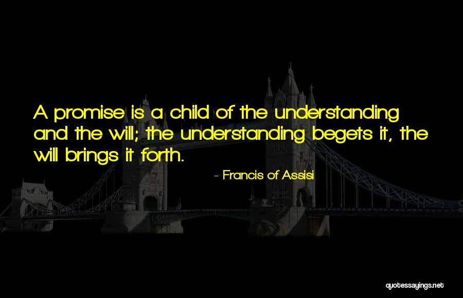 Detangle Doll Quotes By Francis Of Assisi Detangle Doll Quotes By Francis Of Assisi