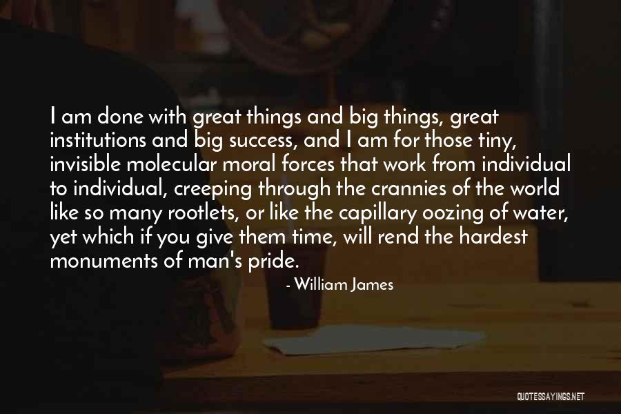 Deteriorar Quotes By William James Deteriorar Quotes By William James