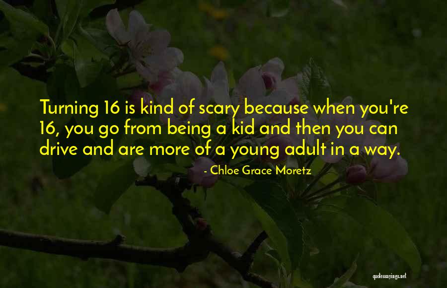 Determann Industries Quotes By Chloe Grace Moretz Determann Industries Quotes By Chloe Grace Moretz