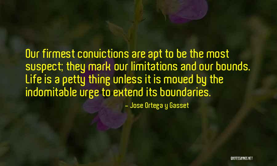 Determinability Types Quotes By Jose Ortega Y Gasset Determinability Types Quotes By Jose Ortega Y Gasset