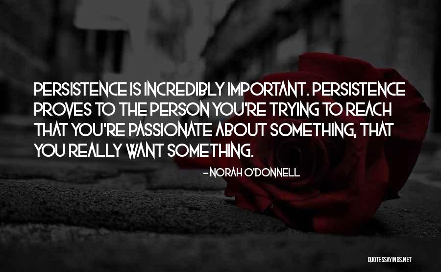 Determinate And Indeterminate Quotes By Norah O'Donnell Determinate And Indeterminate Quotes By Norah O'Donnell