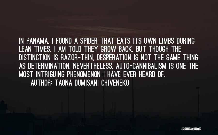 Determination And Desperation Quotes By Taona Dumisani Chiveneko