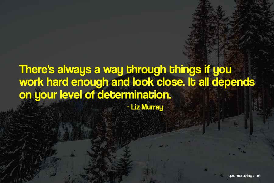 Determination And Hard Work Quotes By Liz Murray