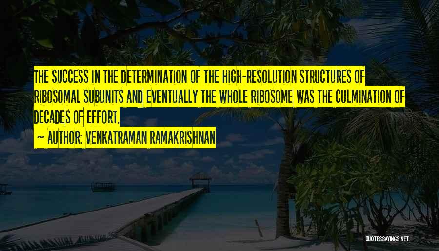 Determination And Success Quotes By Venkatraman Ramakrishnan