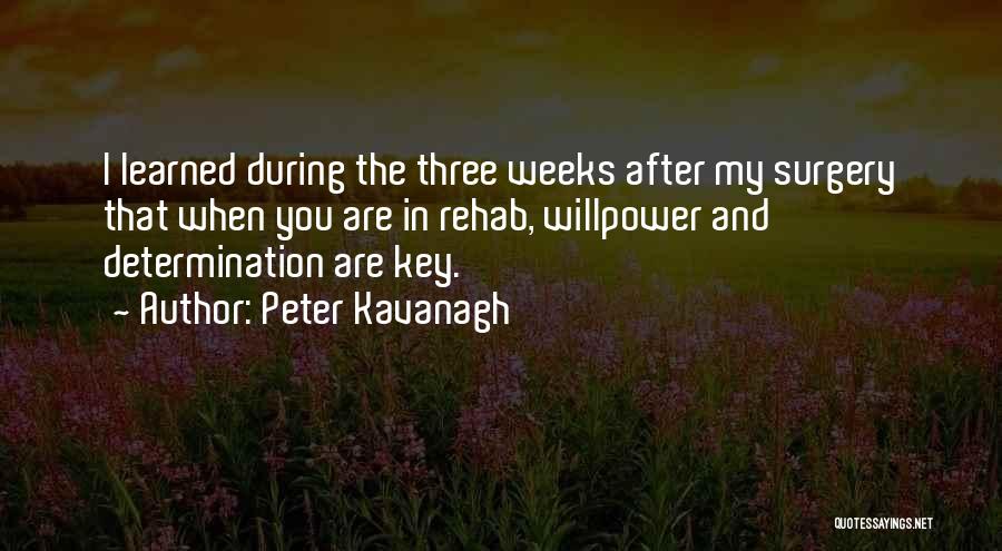 Determination And Willpower Quotes By Peter Kavanagh