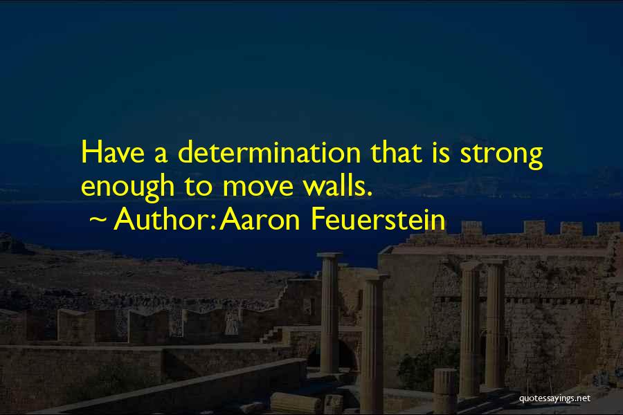 Determination Quotes By Aaron Feuerstein