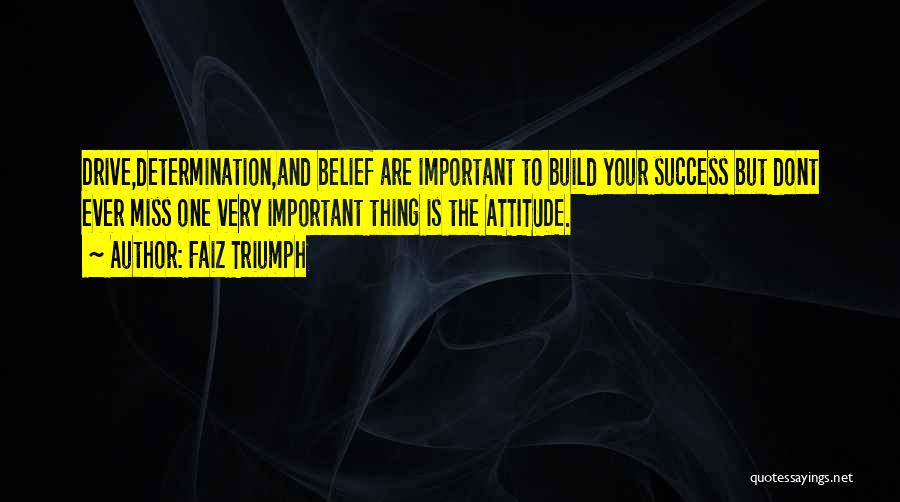 Determination To Success Quotes By Faiz Triumph