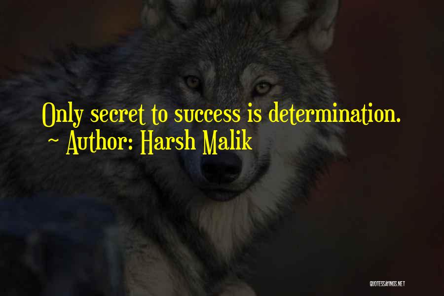 Determination To Success Quotes By Harsh Malik