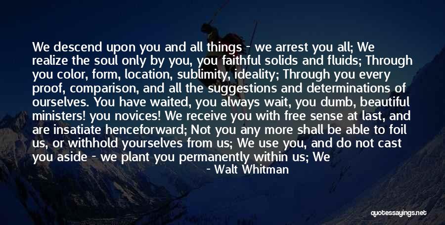 Determinations Quotes By Walt Whitman