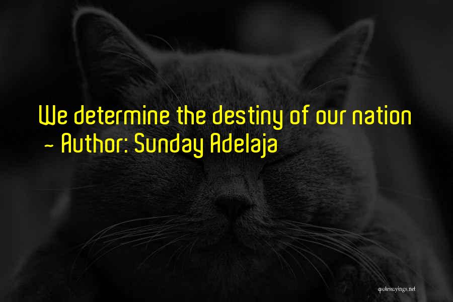 Determine Destiny Quotes By Sunday Adelaja
