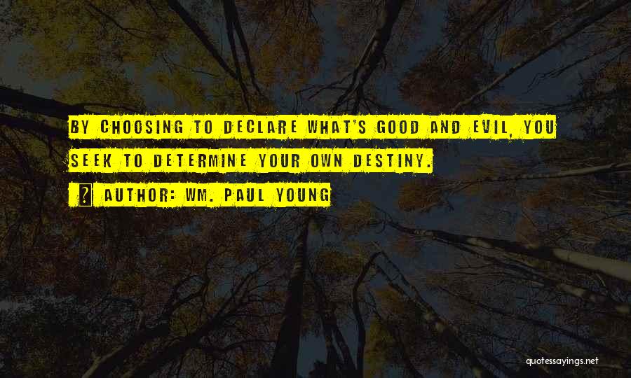 Determine Destiny Quotes By Wm. Paul Young