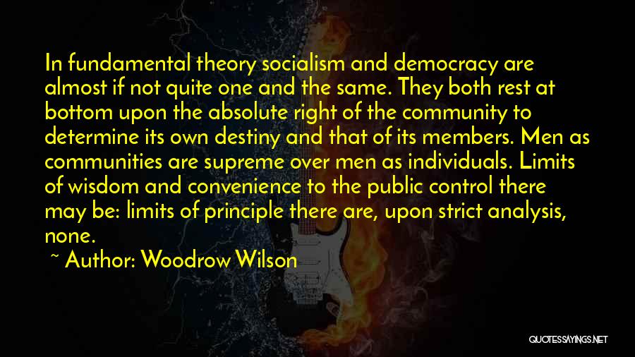 Determine Destiny Quotes By Woodrow Wilson