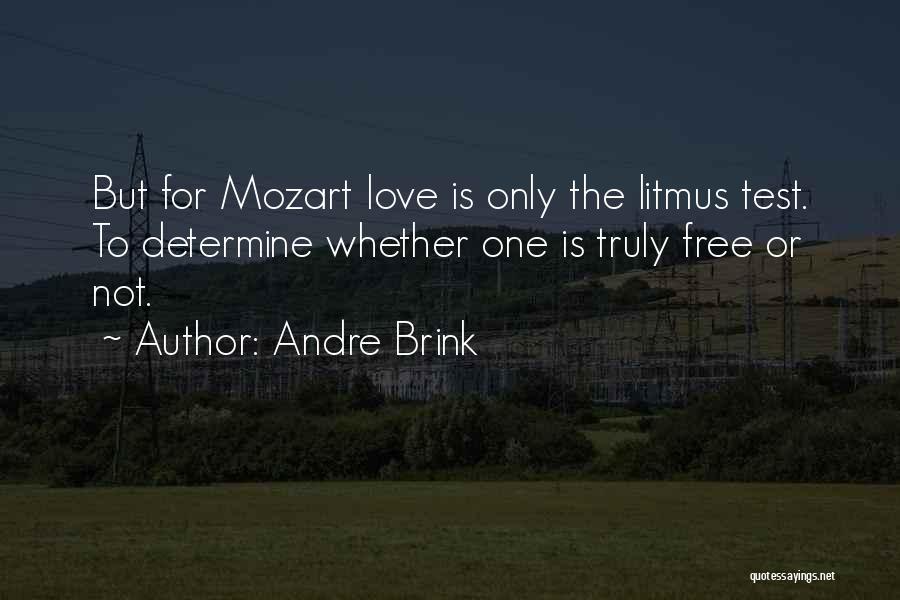 Determine Love Quotes By Andre Brink