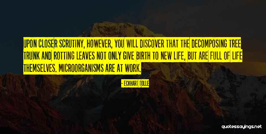 Detmers Chatham Quotes By Eckhart Tolle Detmers Chatham Quotes By Eckhart Tolle