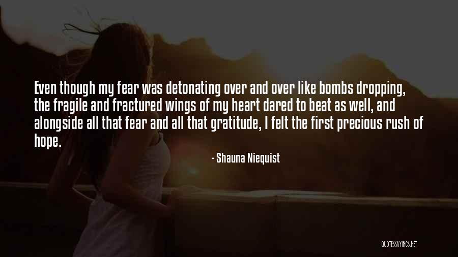 Detonating Quotes By Shauna Niequist Detonating Quotes By Shauna Niequist
