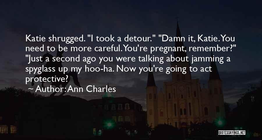 Detour Quotes By Ann Charles