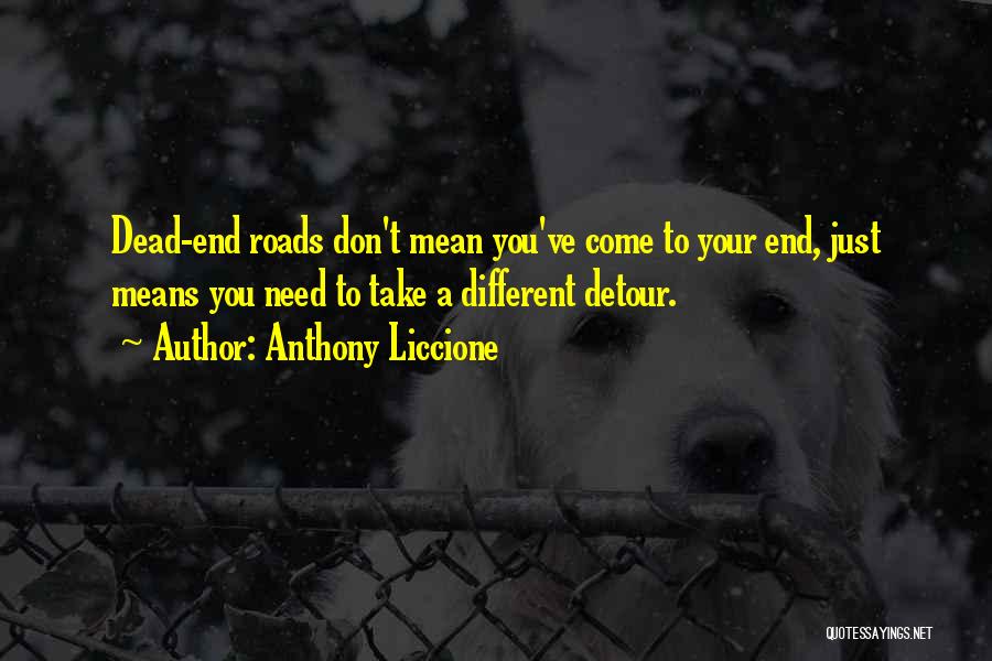 Detour Quotes By Anthony Liccione