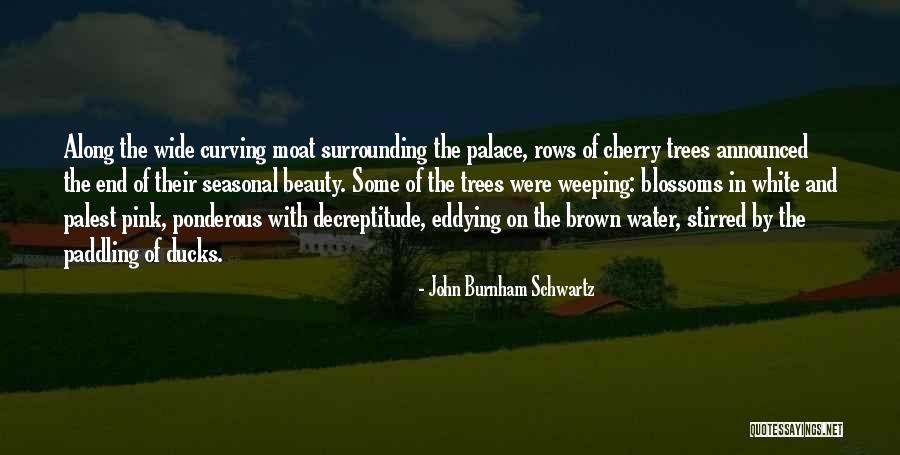 Detoured Synonyms Quotes By John Burnham Schwartz Detoured Synonyms Quotes By John Burnham Schwartz