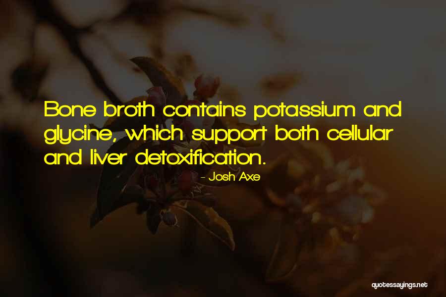 Detoxification Quotes By Josh Axe