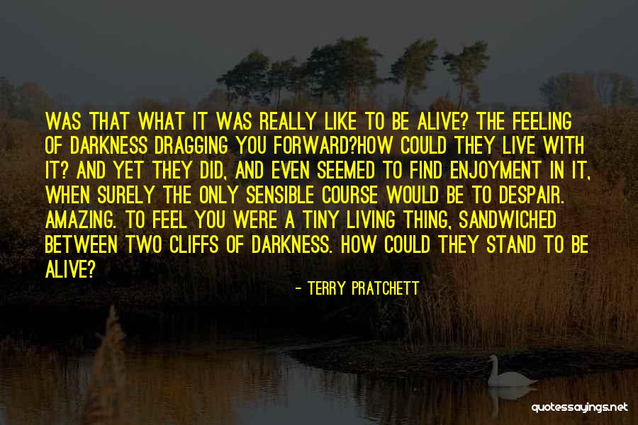 Detremmerie Sunny Quotes By Terry Pratchett Detremmerie Sunny Quotes By Terry Pratchett