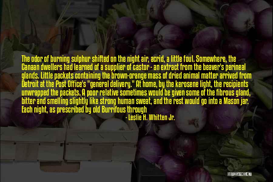 Detroit Quotes By Leslie H. Whitten Jr. Detroit Quotes By Leslie H. Whitten Jr.