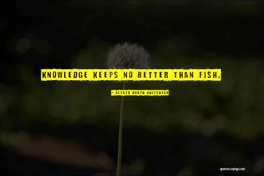 Detton Koski Quotes By Alfred North Whitehead Detton Koski Quotes By Alfred North Whitehead