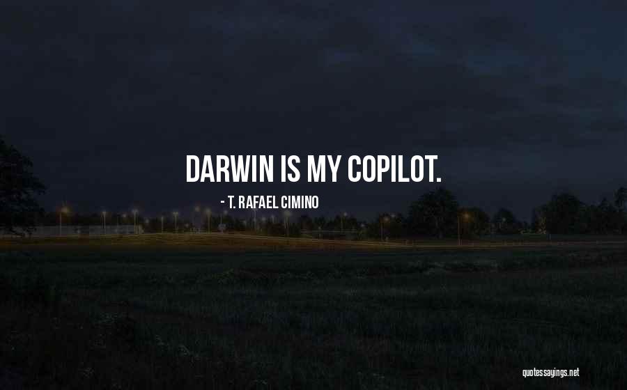 Detweiler Quotes By T. Rafael Cimino