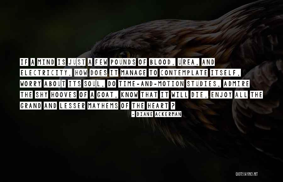 Deudores Quotes By Diane Ackerman Deudores Quotes By Diane Ackerman