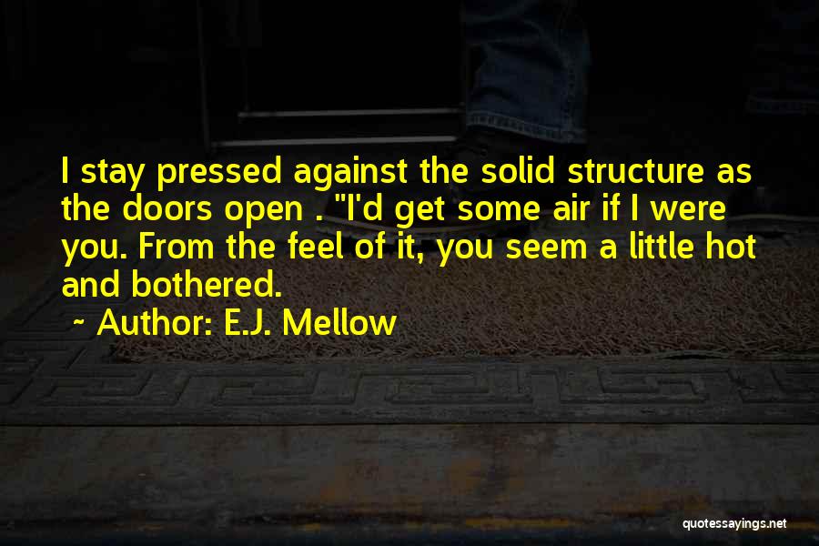 Dev Quotes By E.J. Mellow