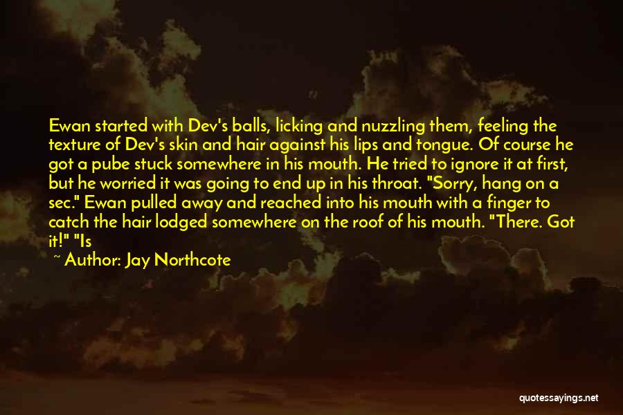 Dev Quotes By Jay Northcote