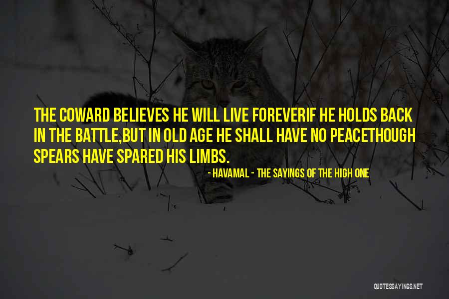 Devagar Significado Quotes By Havamal - The Sayings Of The High One Devagar Significado Quotes By Havamal - The Sayings Of The High One