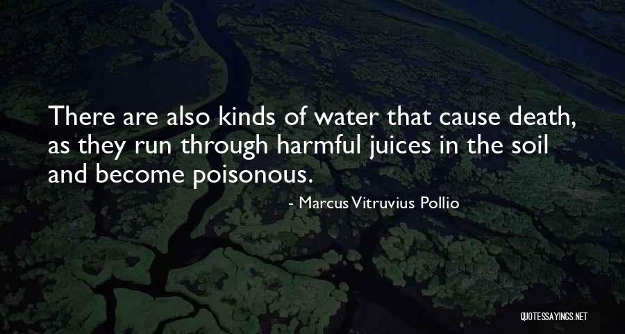 Devapriya Mecredy Quotes By Marcus Vitruvius Pollio Devapriya Mecredy Quotes By Marcus Vitruvius Pollio